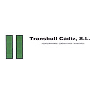 Transbull300